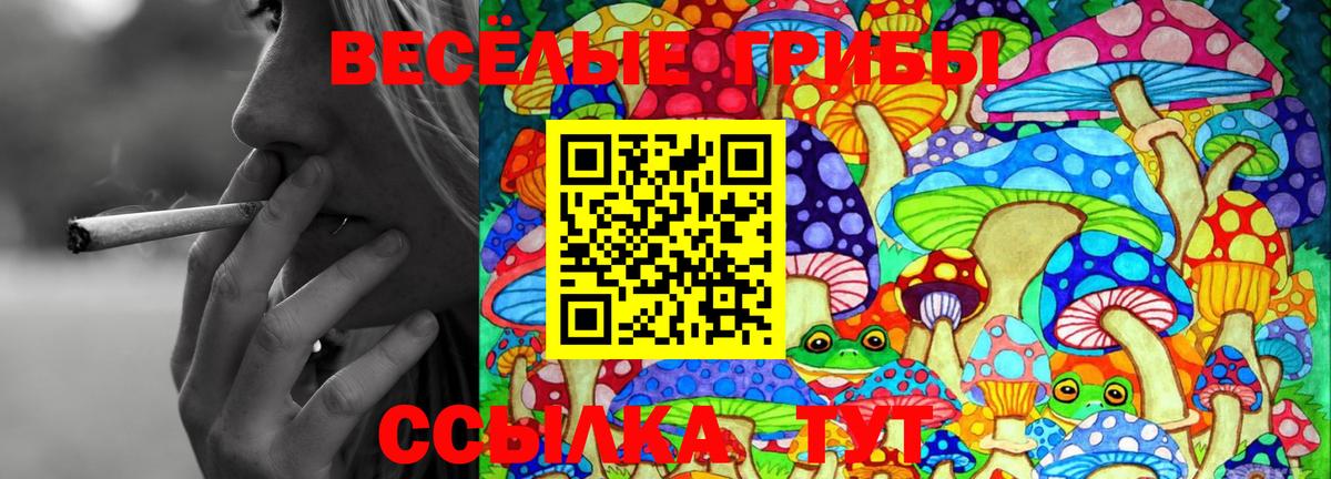 Канск  Галлюциногенные грибы мицелий  Галлюциногенные грибы мицелий  Вход с VPN 
