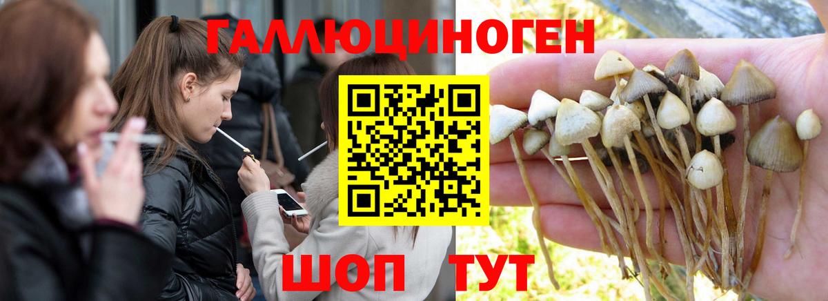 Галлюциногенные грибы ЛСД Канск